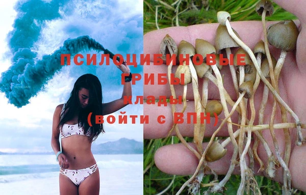mdma Каменногорск