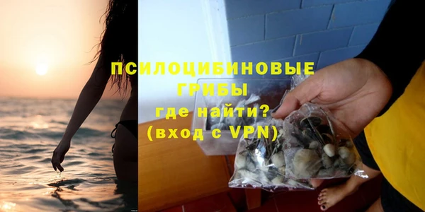 mdma Каменногорск