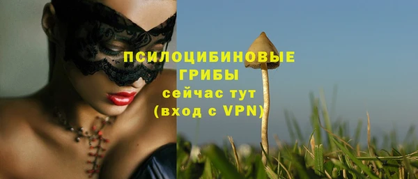 mdma Каменногорск